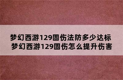 梦幻西游129固伤法防多少达标 梦幻西游129固伤怎么提升伤害